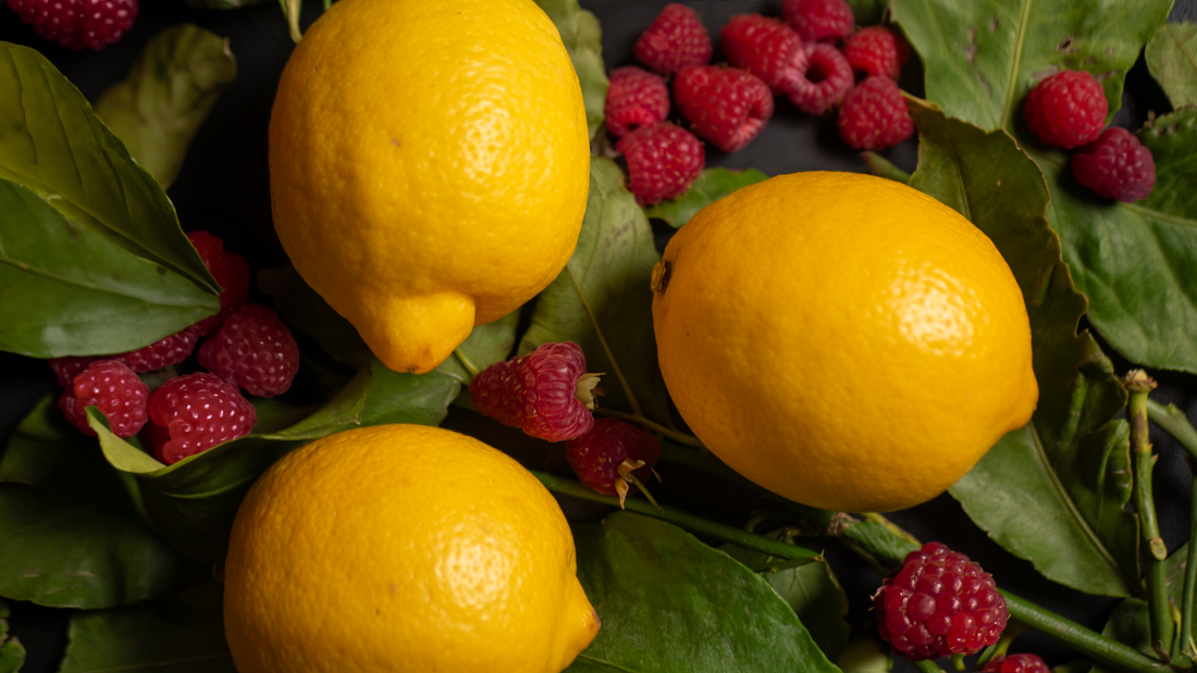 Que sont les prébiotiques ?