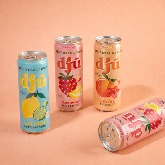 djū kéfir de fruits prébiotique Mix fruité